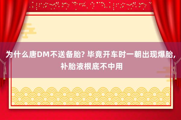 为什么唐DM不送备胎? 毕竟开车时一朝出现爆胎, 补胎液根底不中用