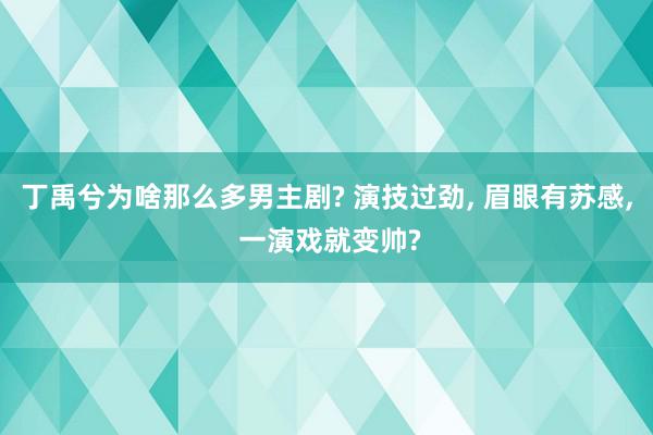 丁禹兮为啥那么多男主剧? 演技过劲, 眉眼有苏感, 一演戏就变帅?