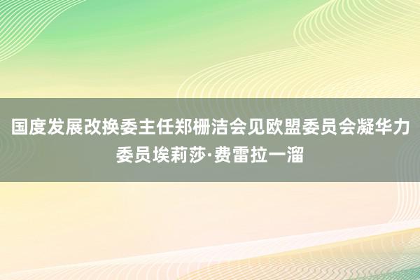 国度发展改换委主任郑栅洁会见欧盟委员会凝华力委员埃莉莎·费雷拉一溜